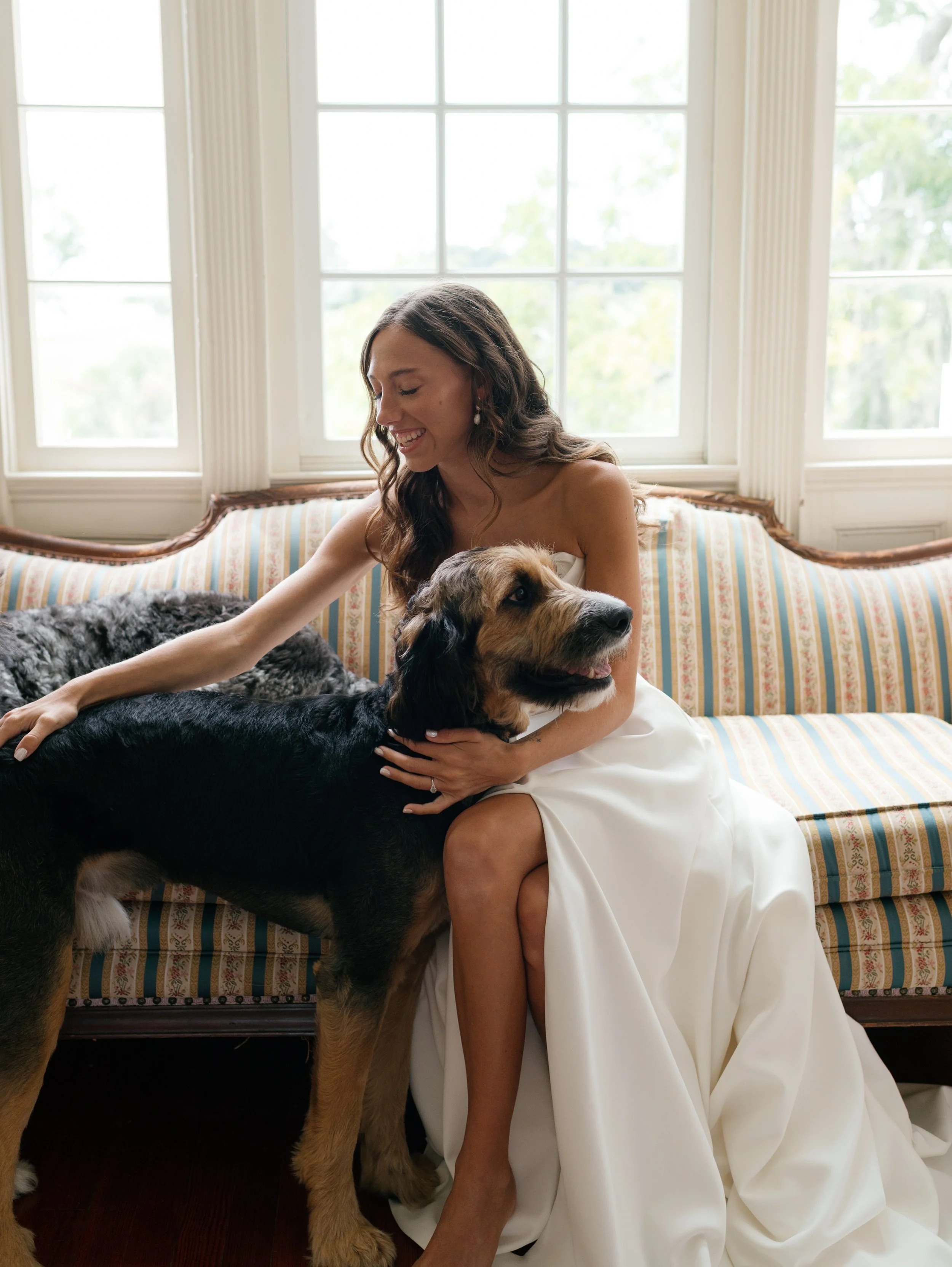 A woman in a white dress sitting on a striped vintage-style sofa with a large dog, likely a Bernese Mountain Dog, in her lap and reaching out to pet it. The setting is in front of a large window with multiple panes, allowing natural light to illumina