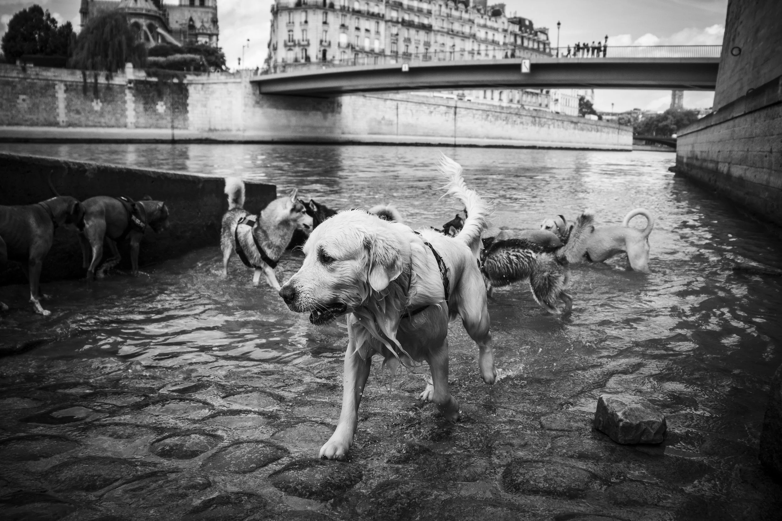 _MG_5386.JPG