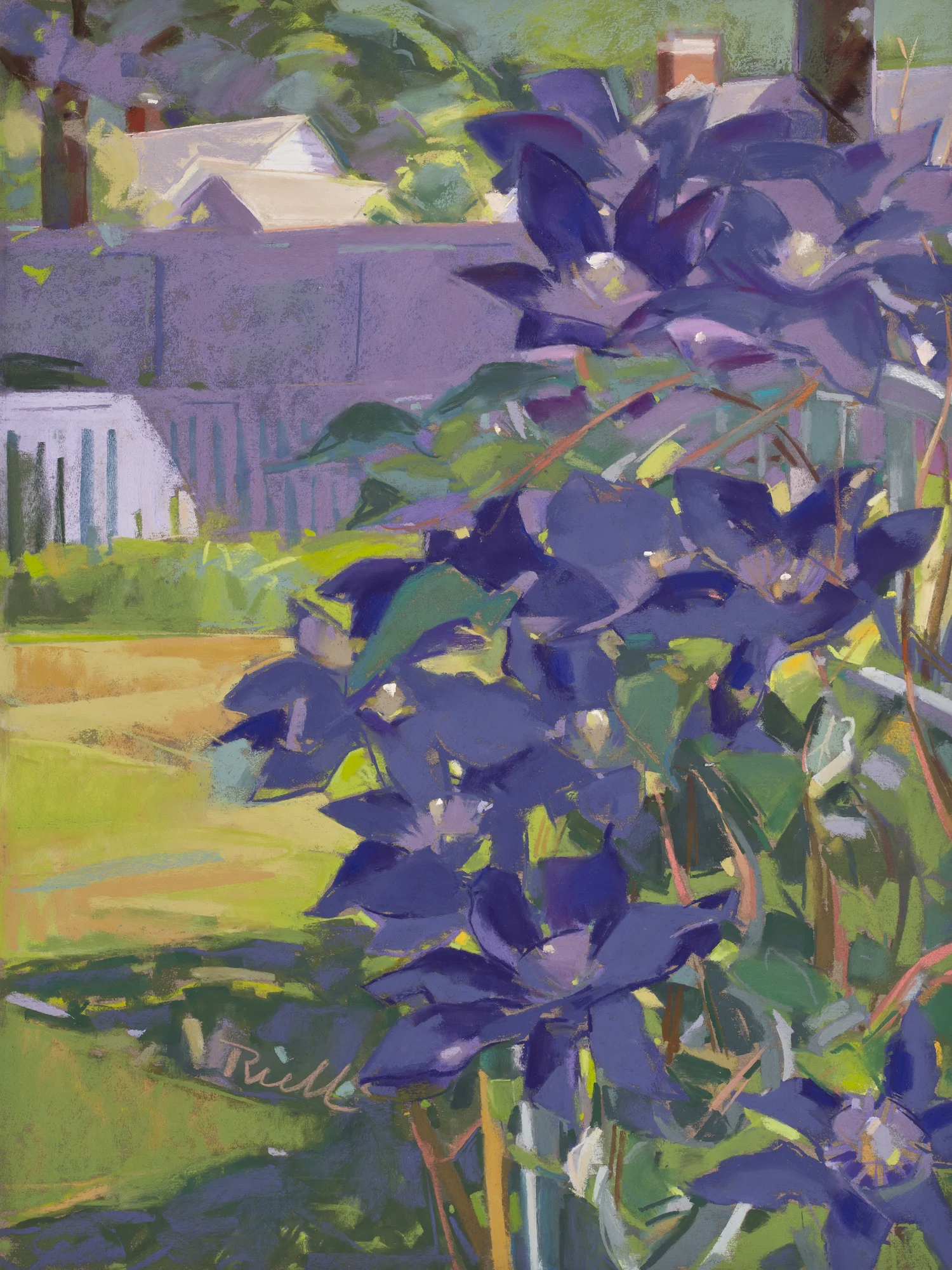 Purple Clematis on Trellis