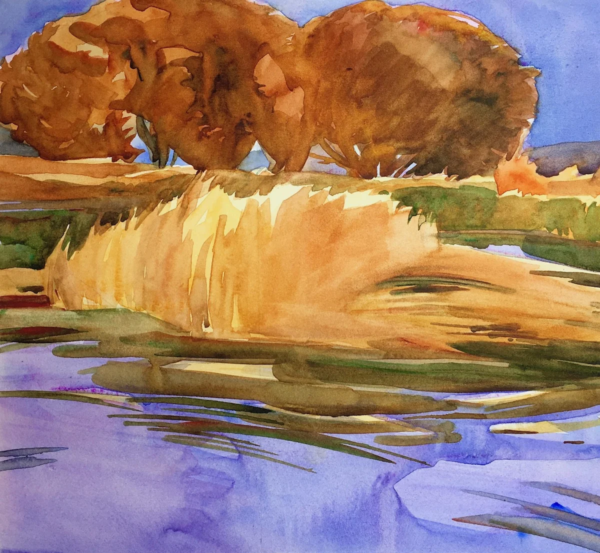 Willows and Weeds, Mohawk River