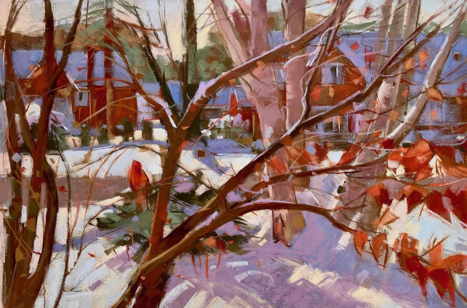   Kousa Dogwood, Winter:  pastel image size 12” x 18”; matted &amp; framed size 17” x 23” 