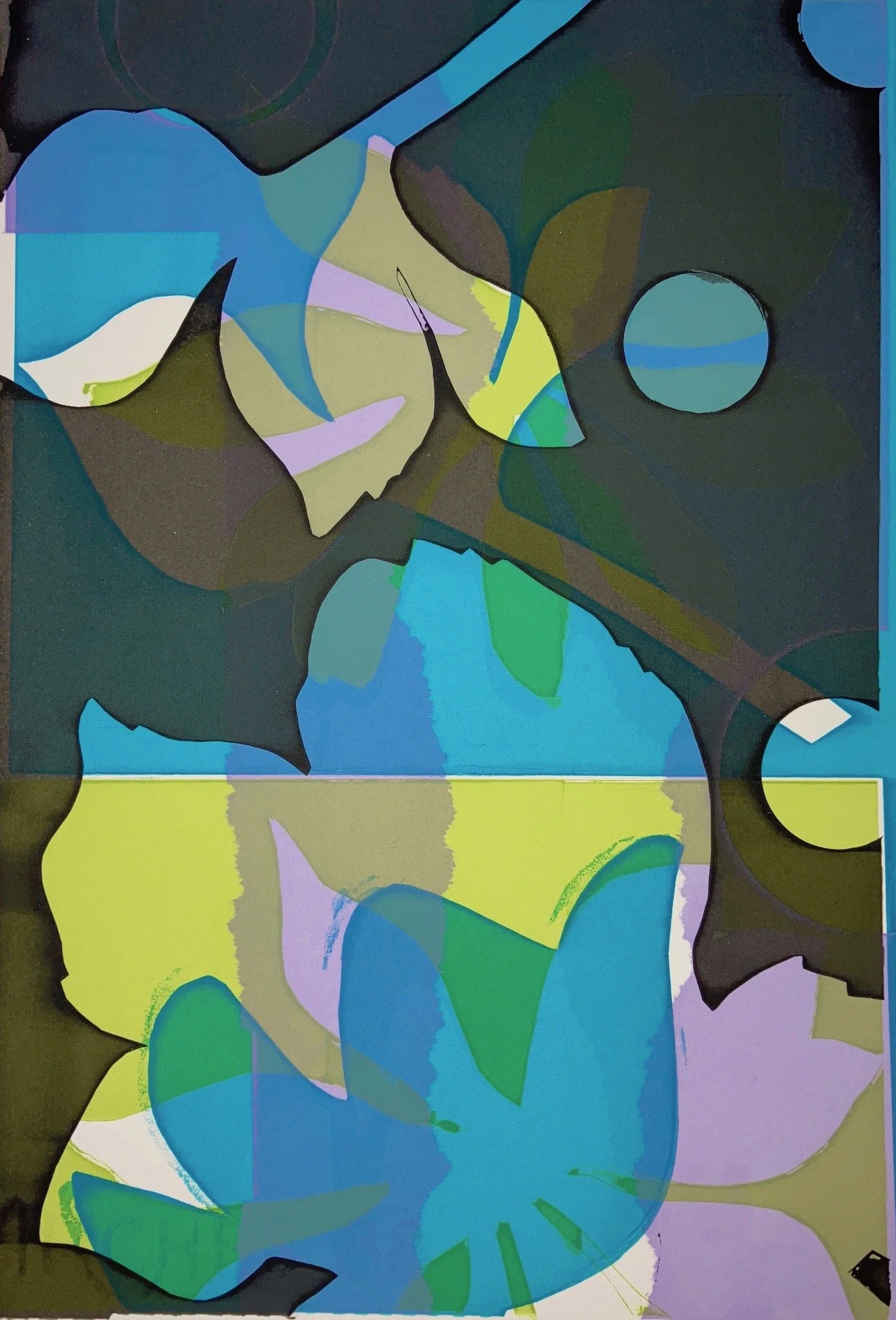 Riell_Mary Ellen_Screenprinted_Monoprint.jpeg