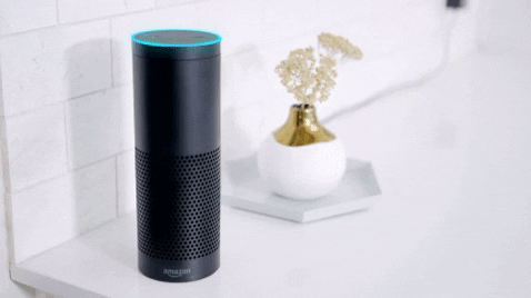 Animated GIF-downsized_large-2.gif