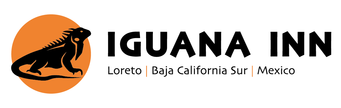 Iguana Inn Hotel