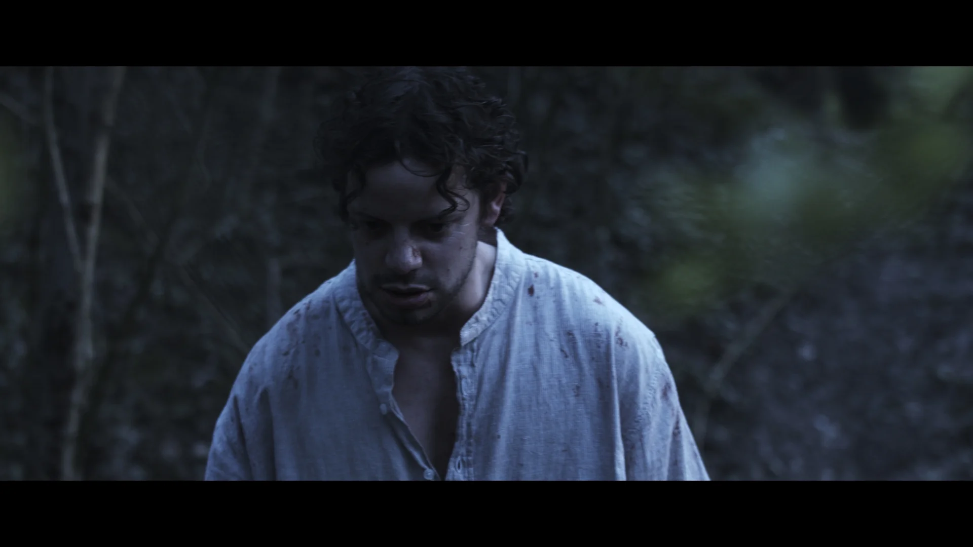 Snarl - 2019