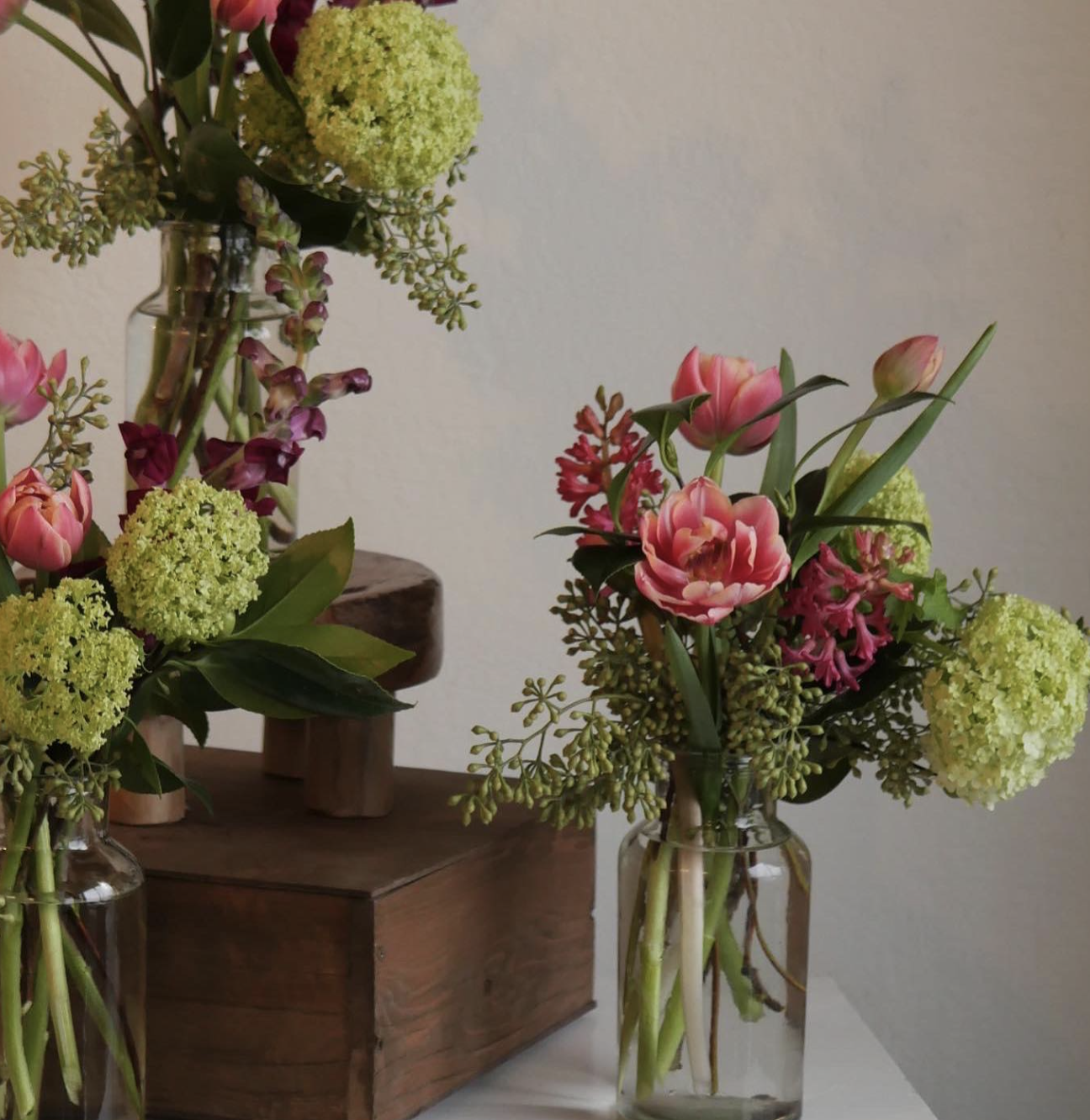 Toadstool Flower Club Pop-Up