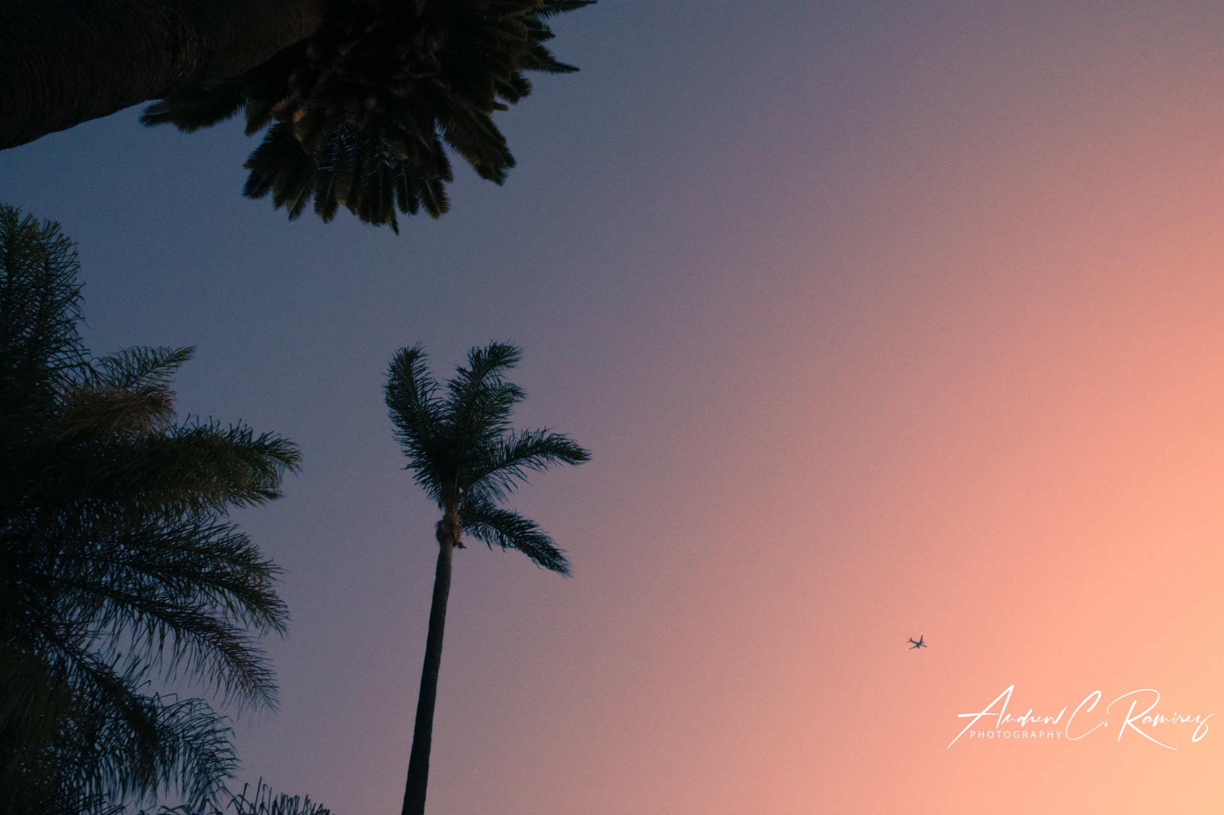 Screen Shot 2019-09-29 at 8.33.53 PM.png