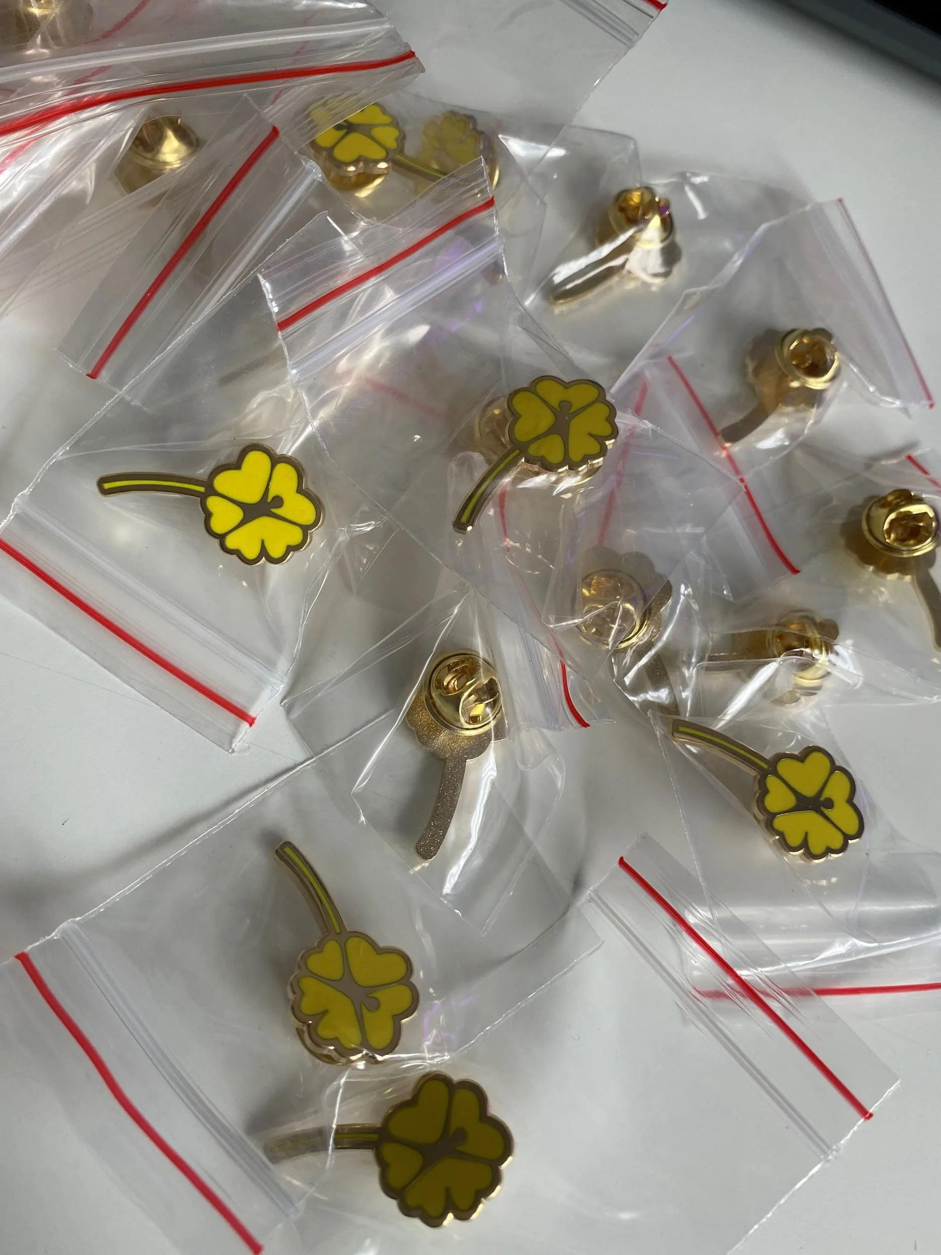 Pins.jpg