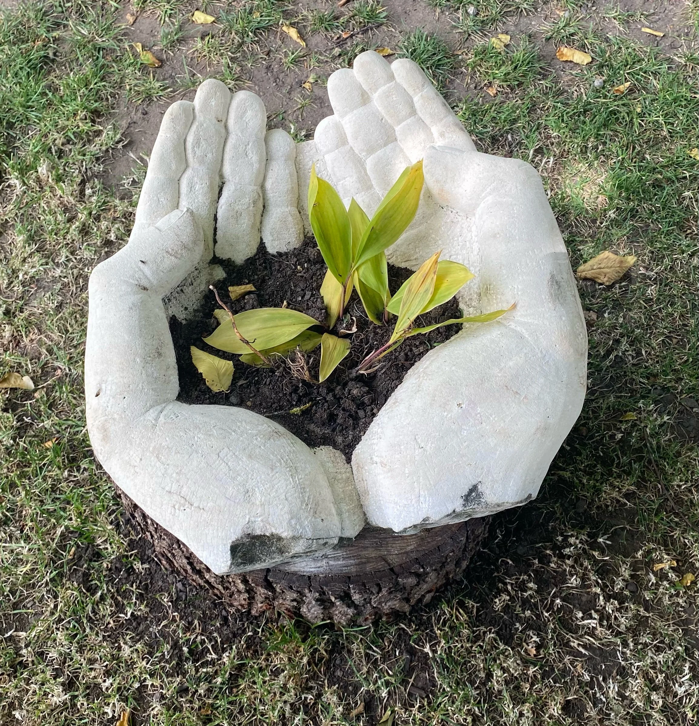 Our Mission and Goals for 2025