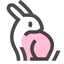 rabbit.png