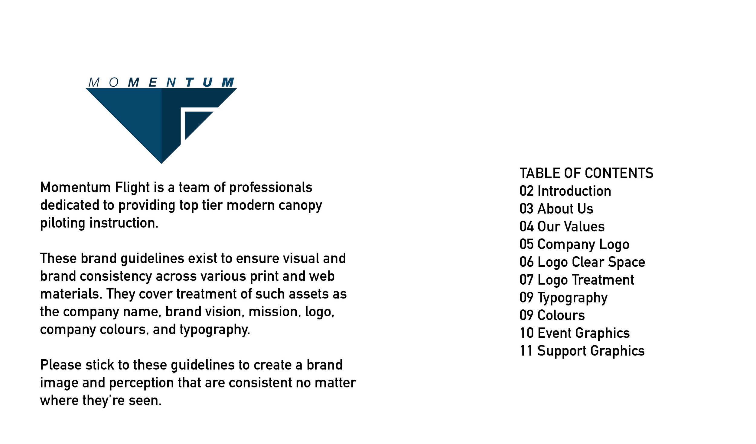 Momentum Brand Guide2.jpg