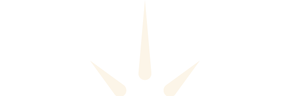 christopher-bennett-spark-asset.png