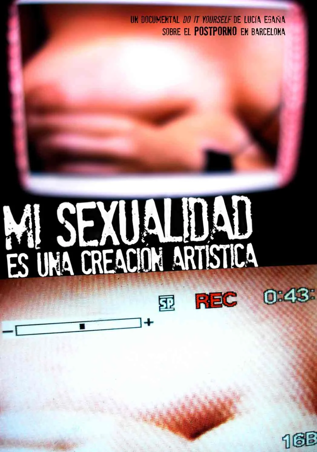 Mi Sexualidad Es Una Creacion Artistica (My Sexuality is an Art Creation), Lucía Egaña Rojas, 2011