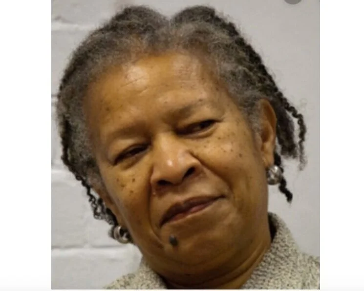 Joan Anim-Addo: Activist-mothers maybe, sisters surely?