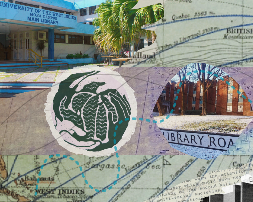 Bibliographic Activism: Researching Under-Represented Cultures and Lineages