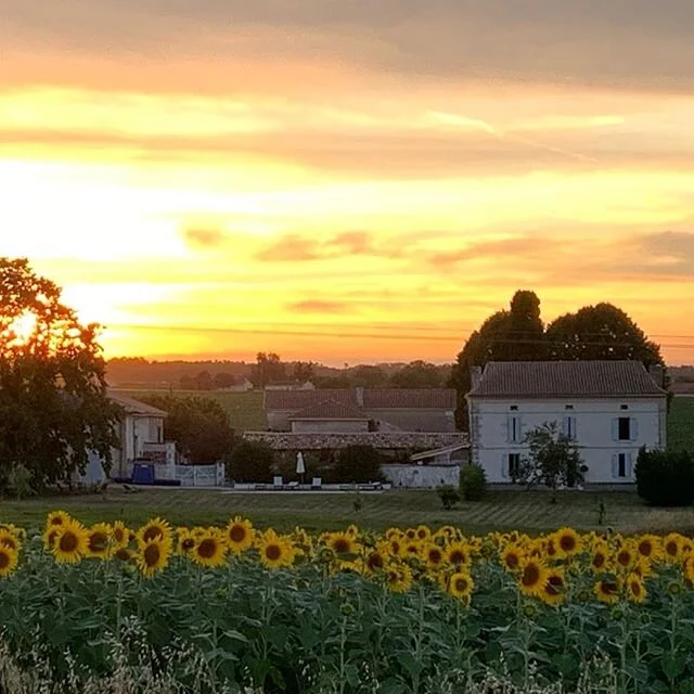 Unwind (and Feast) in the French Countryside