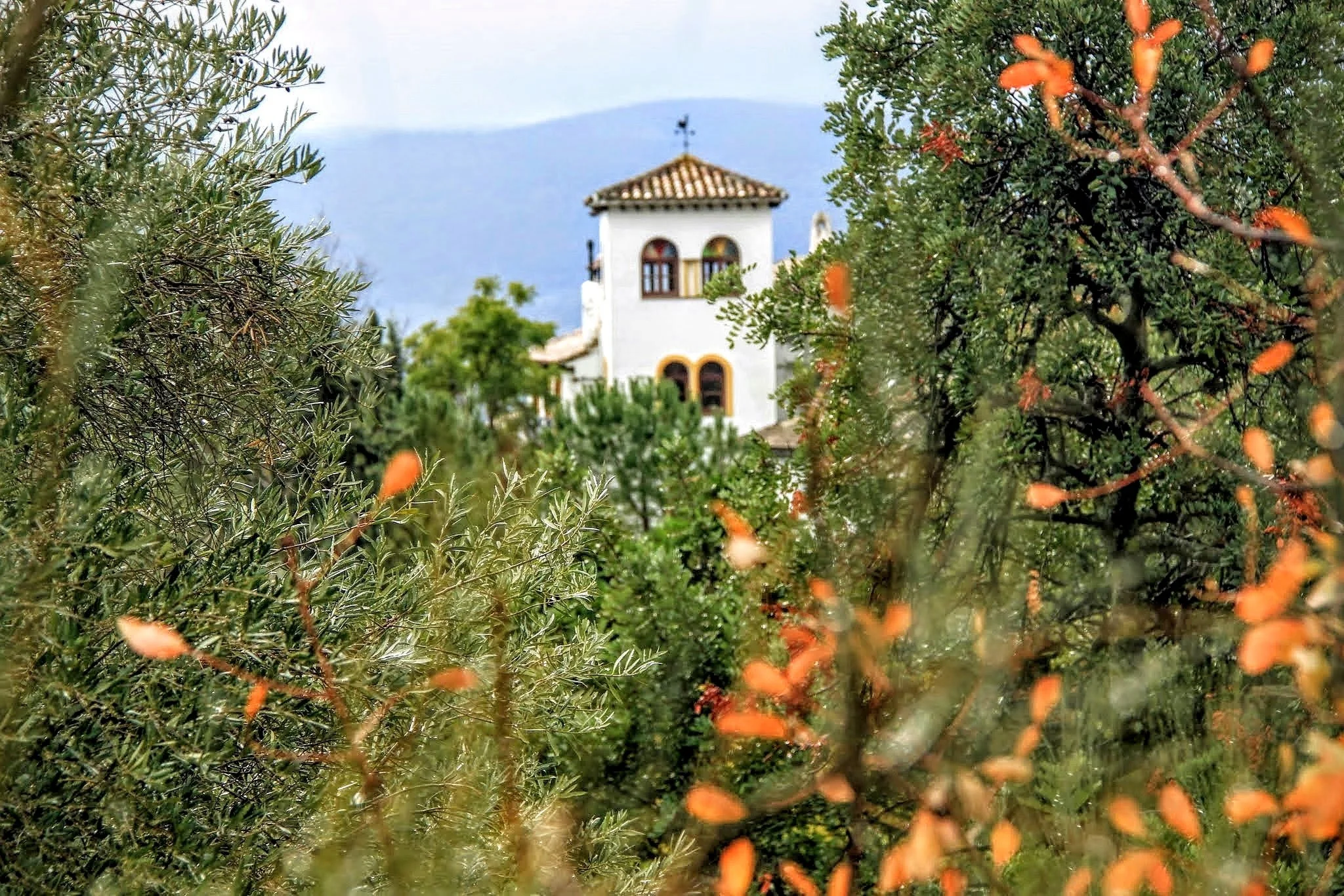 Spring Yoga + Hiking Retreat in Andalucia, Spain