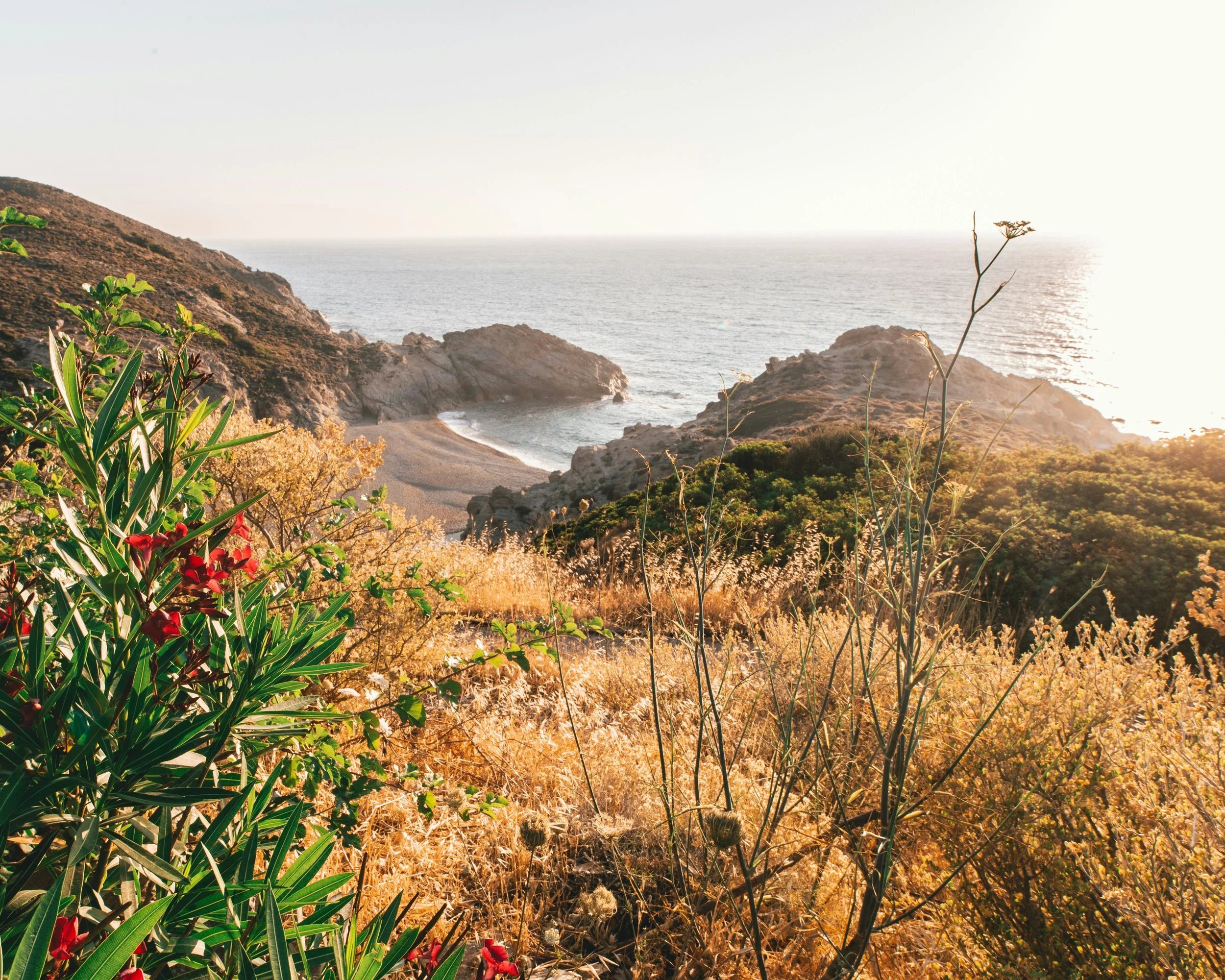 Yoga + LONGEVITY IN IKARIA, GREECE