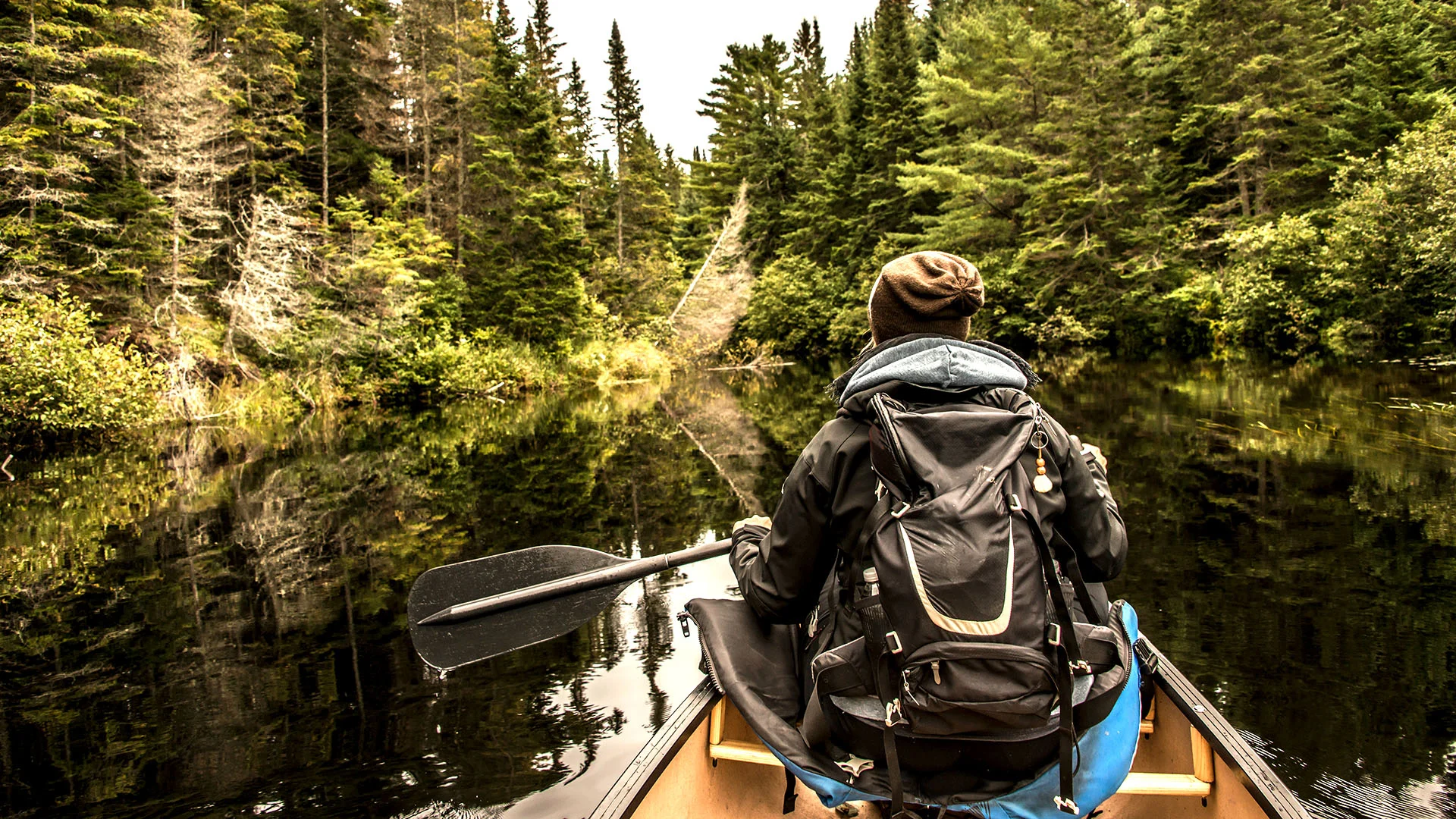 Canoeing in Algonquin, Ontario