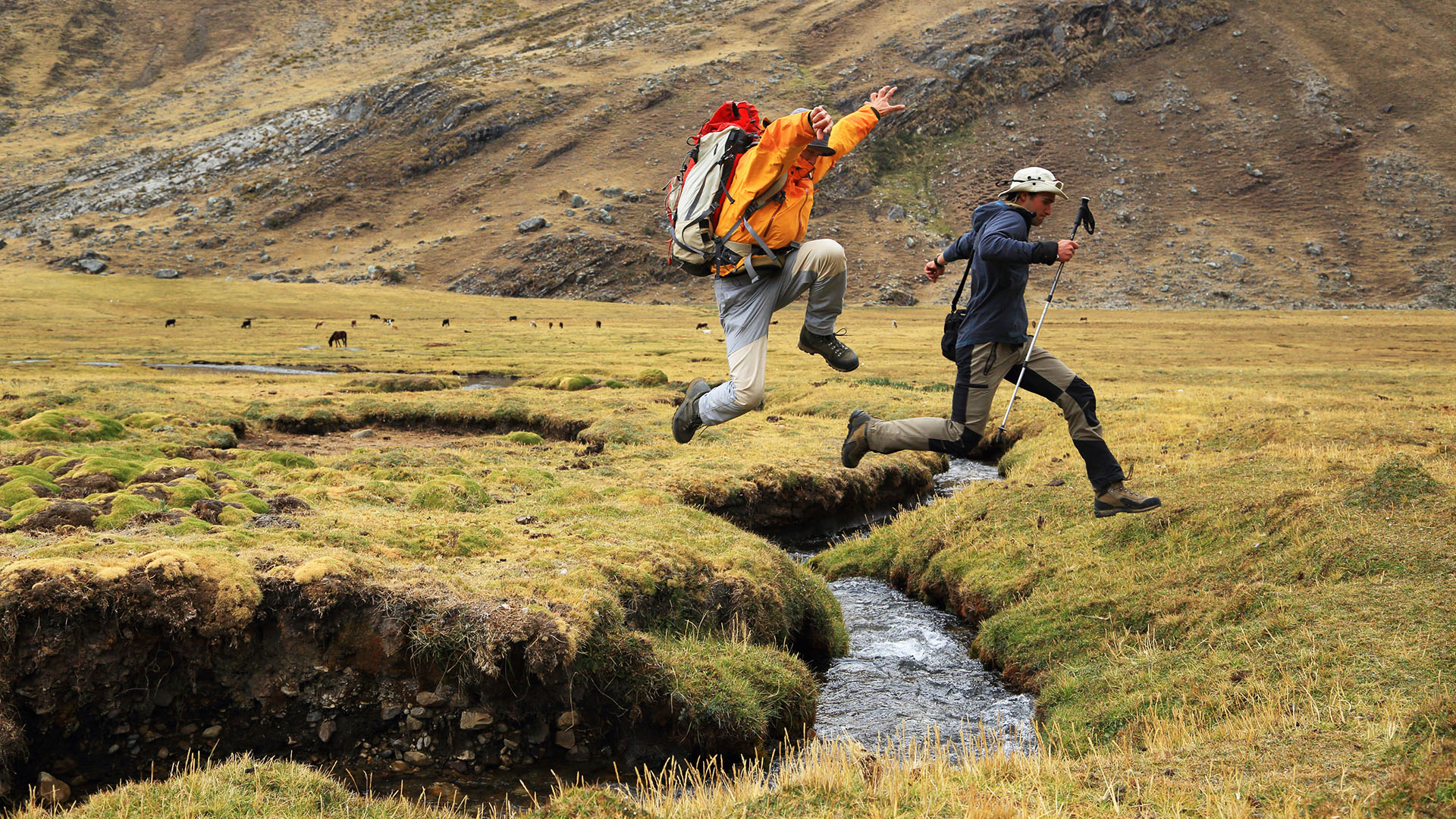 Jumping Mountain Stream