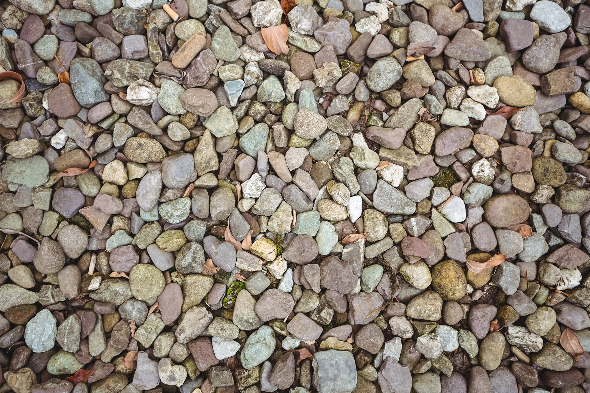 1110.jpg