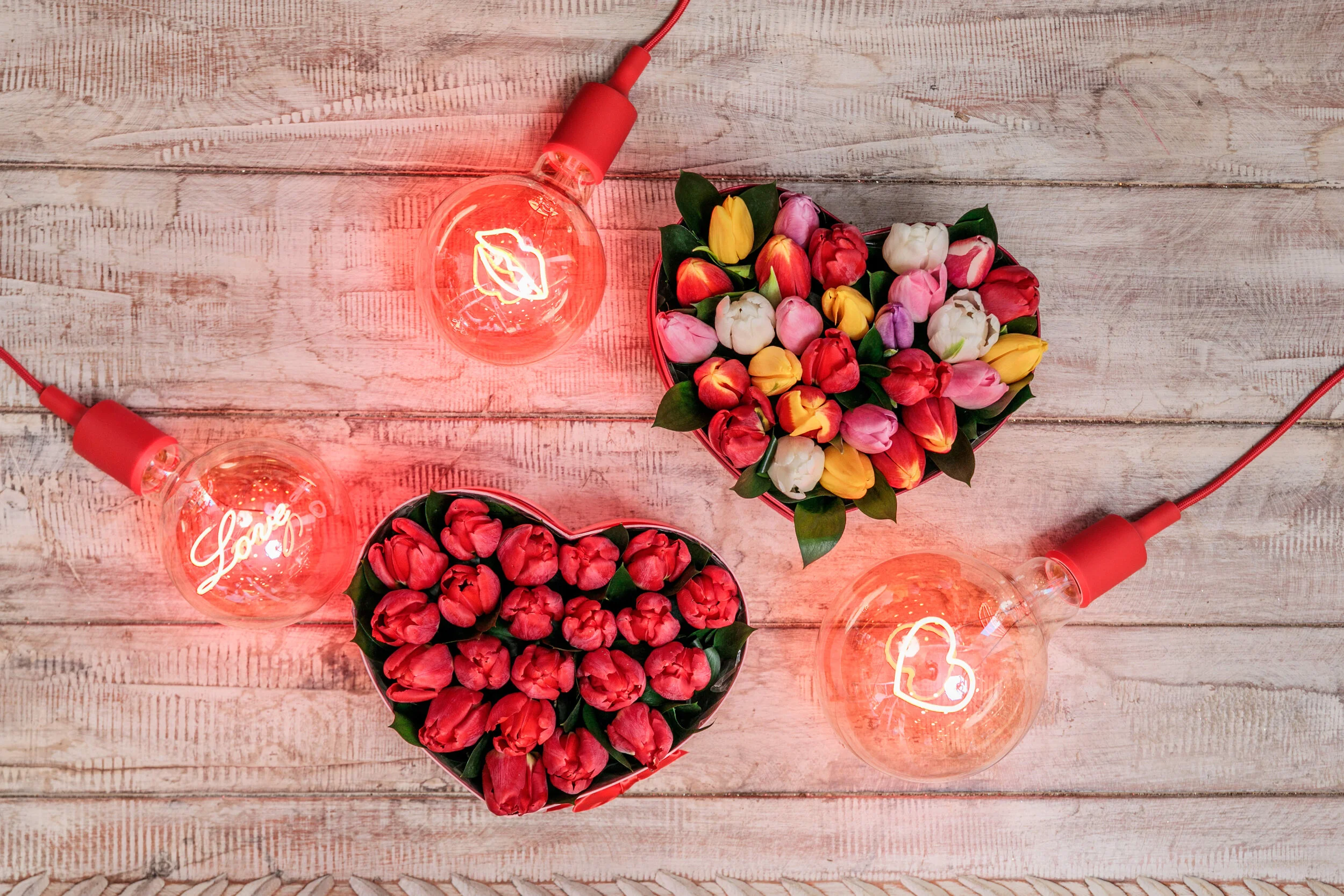 Eshop-photography 0007.JPG