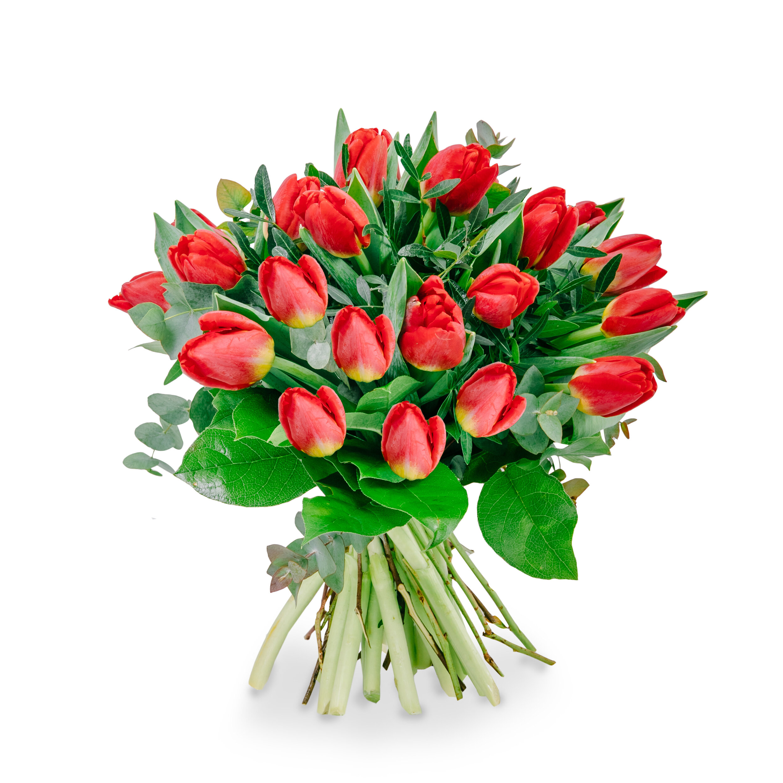 Eshop-photography 0011.JPG