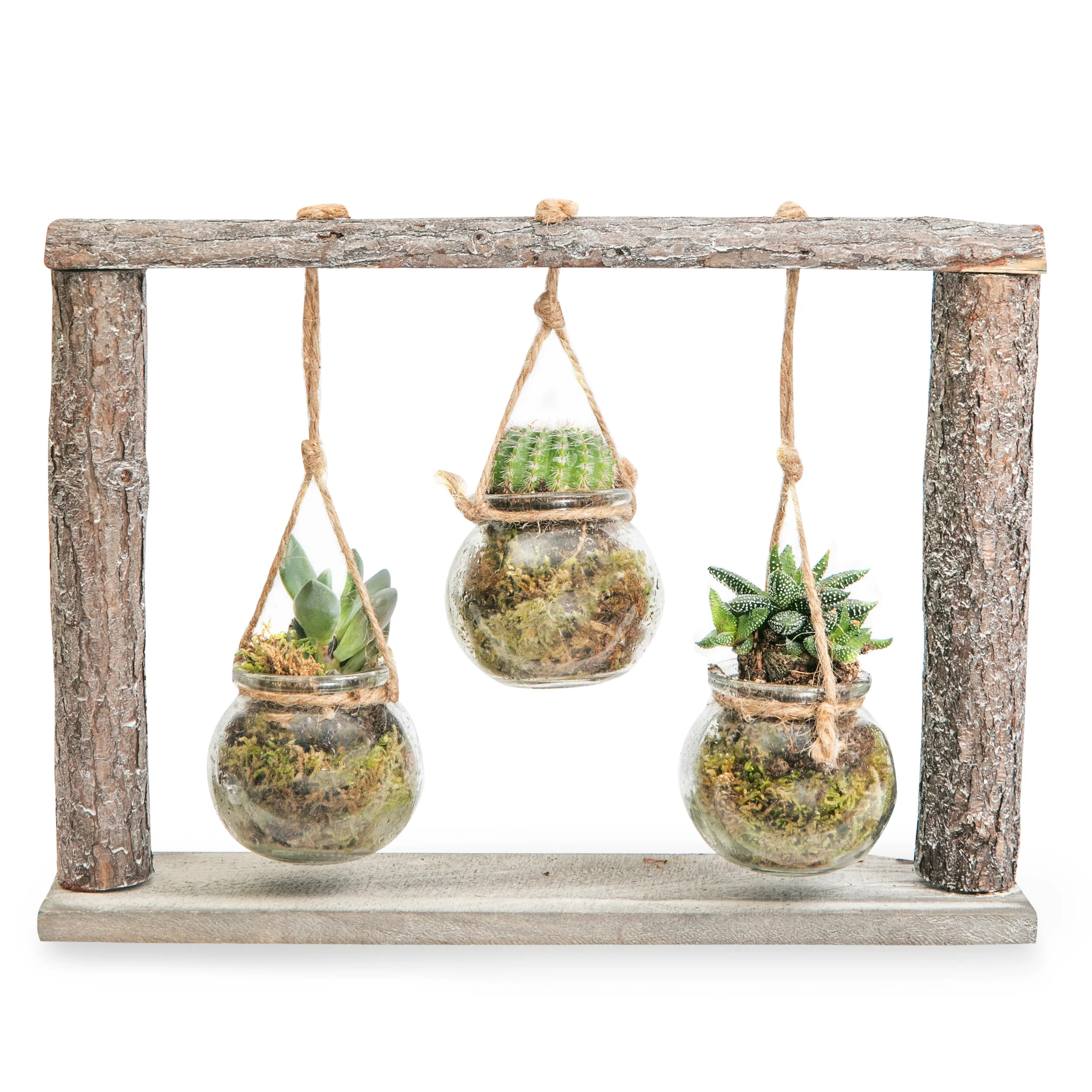 Eshop-photography 0001.JPG