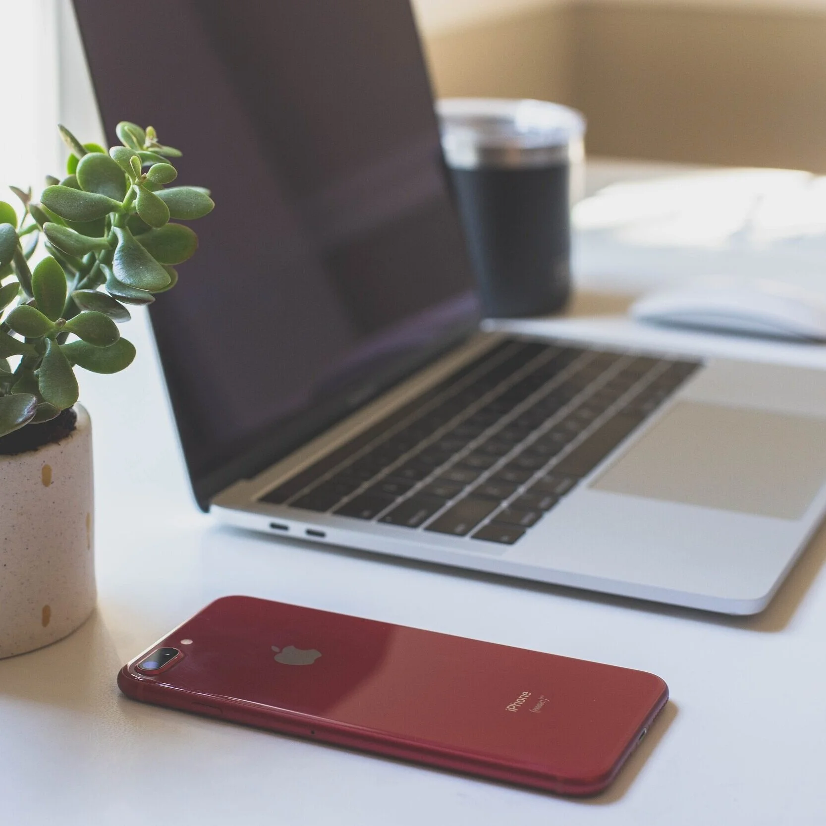 MIT-Denmark Student Stories: Anthony Cheng - Remote Internship at GreenLab