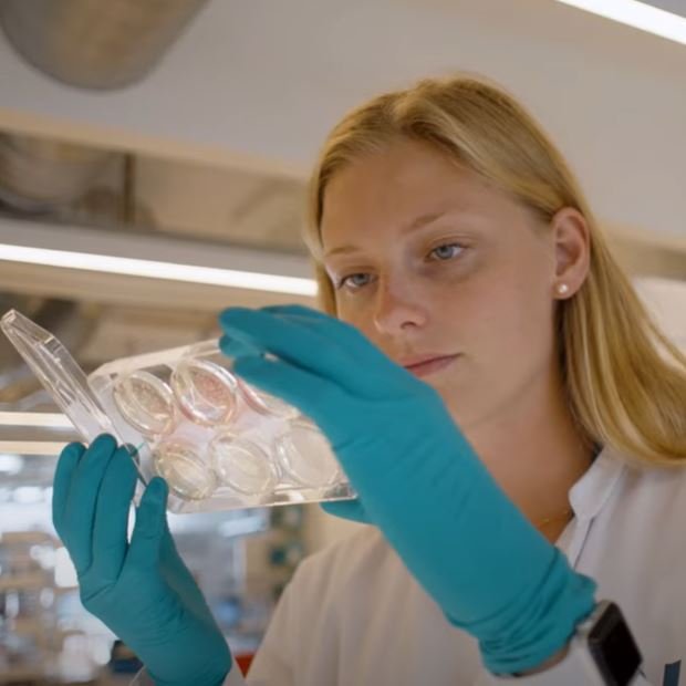 Using Biology to Change the World - Meredith's Story