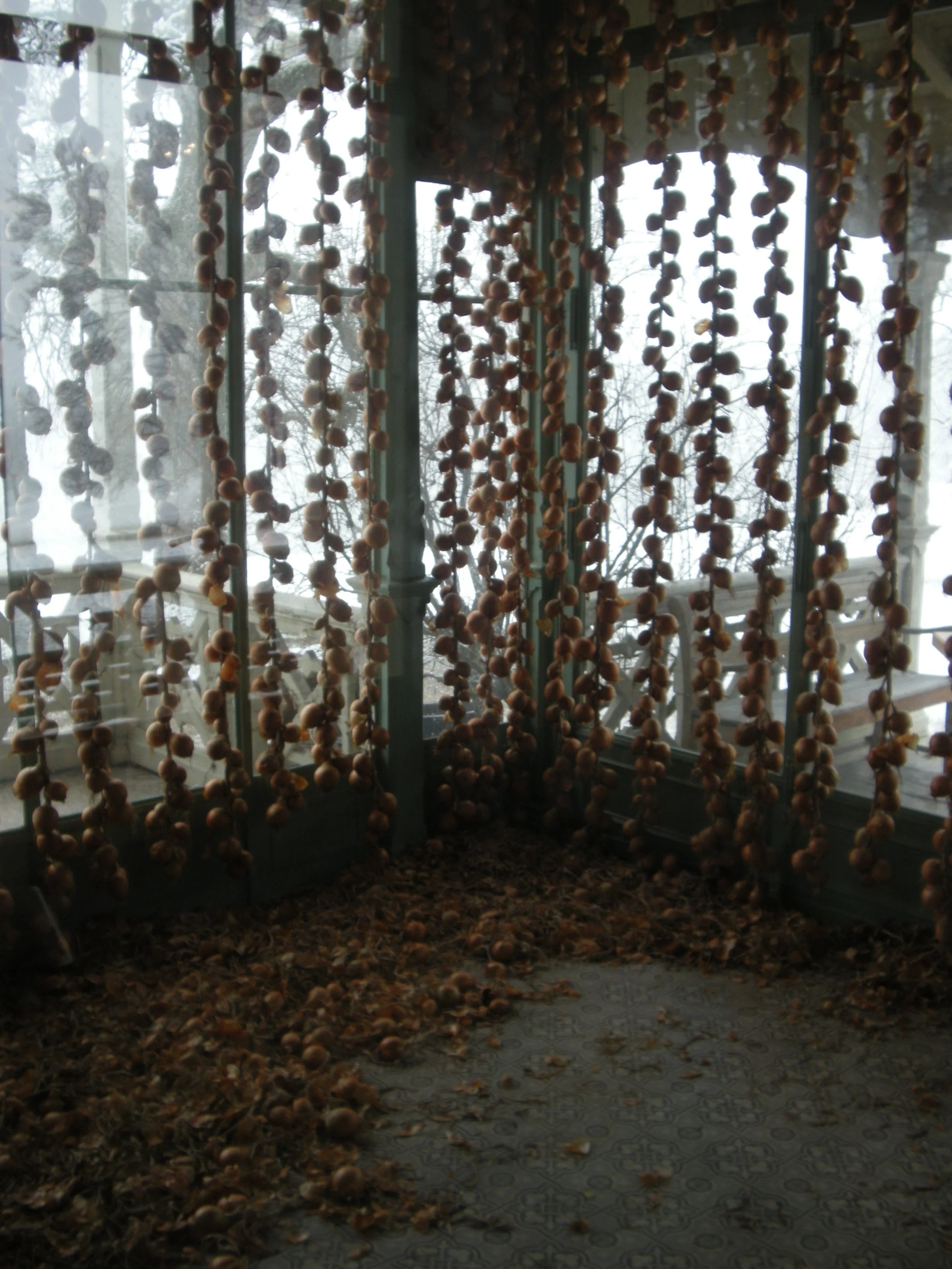 onionroom1.JPG