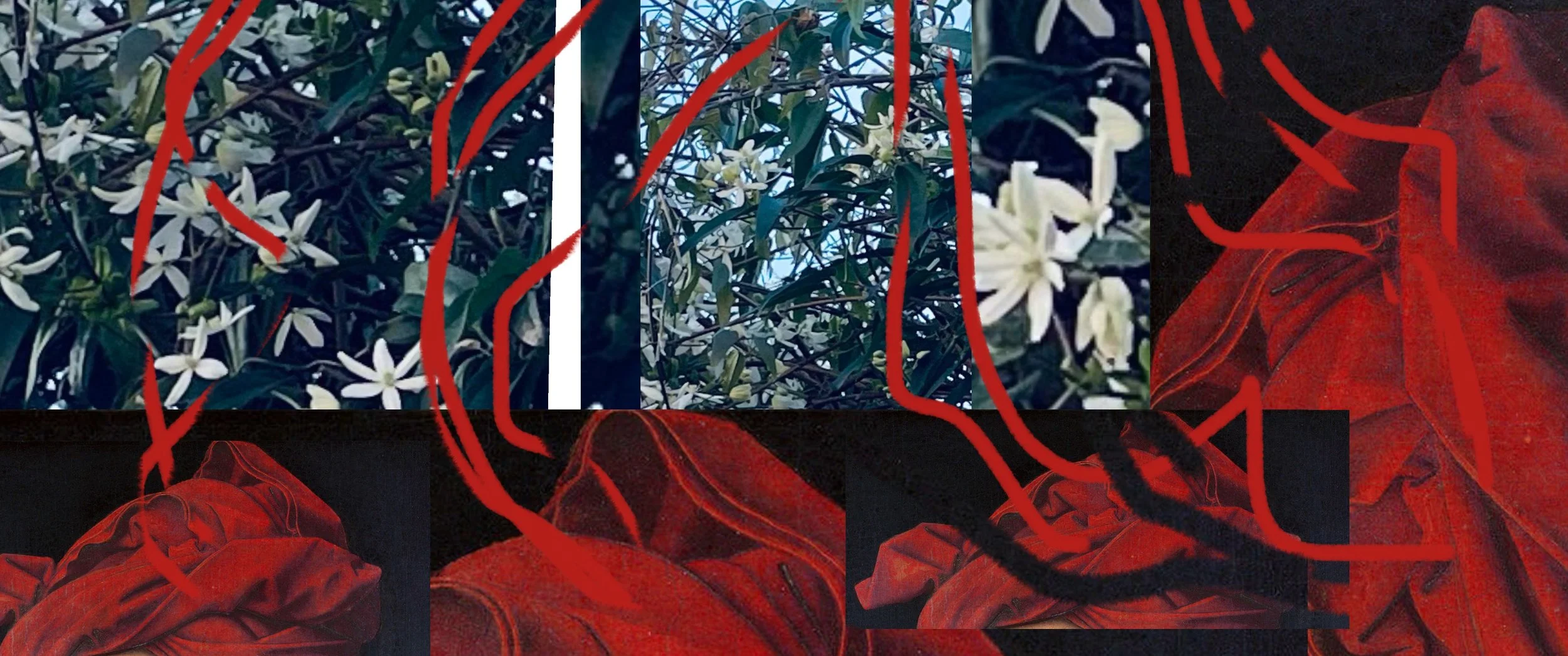 Jan Van Eyck's gardening hat. 