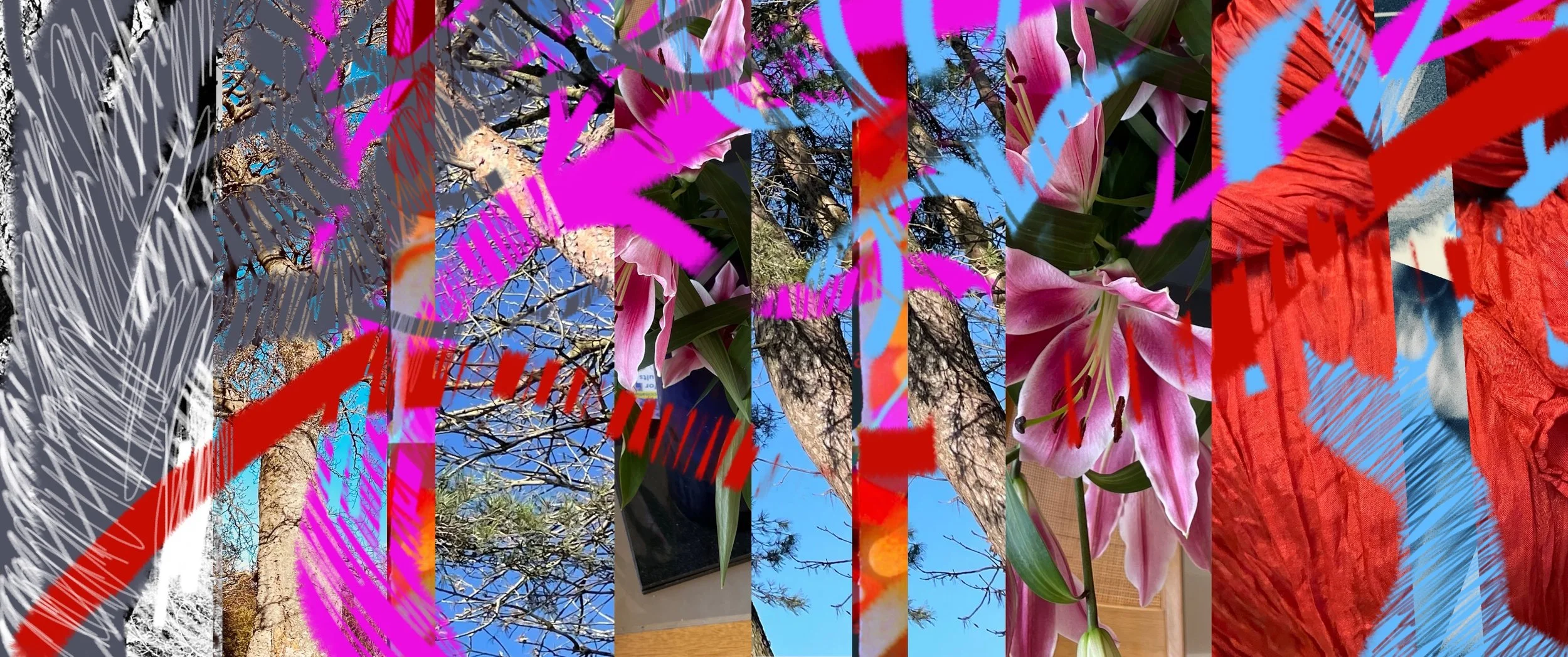 Finding the mother tree V