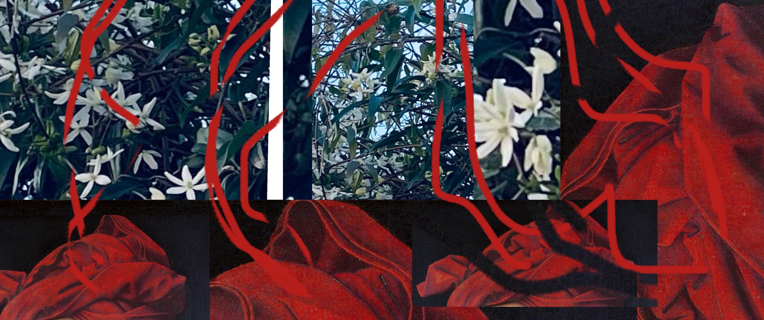 Van Eyck’s gardening hat