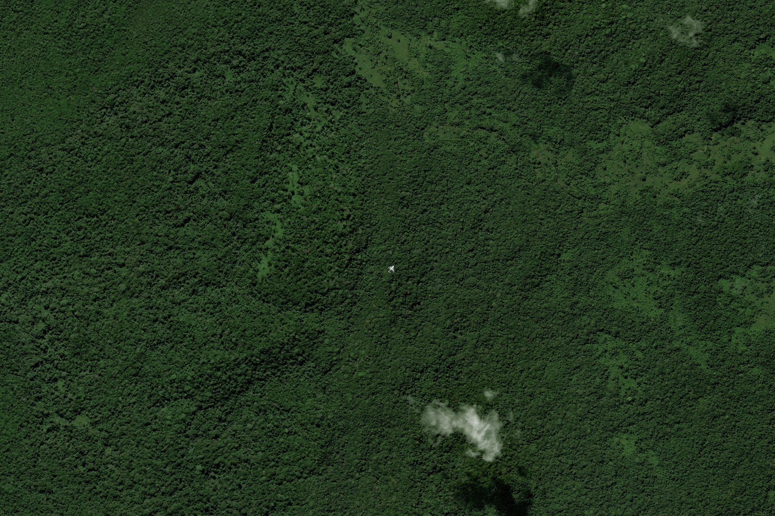  An open-source satellite image showing the wreckage of a propeller plane used by narco-traffickers crashed in the core zone of the Rio Platano Biosphere. 