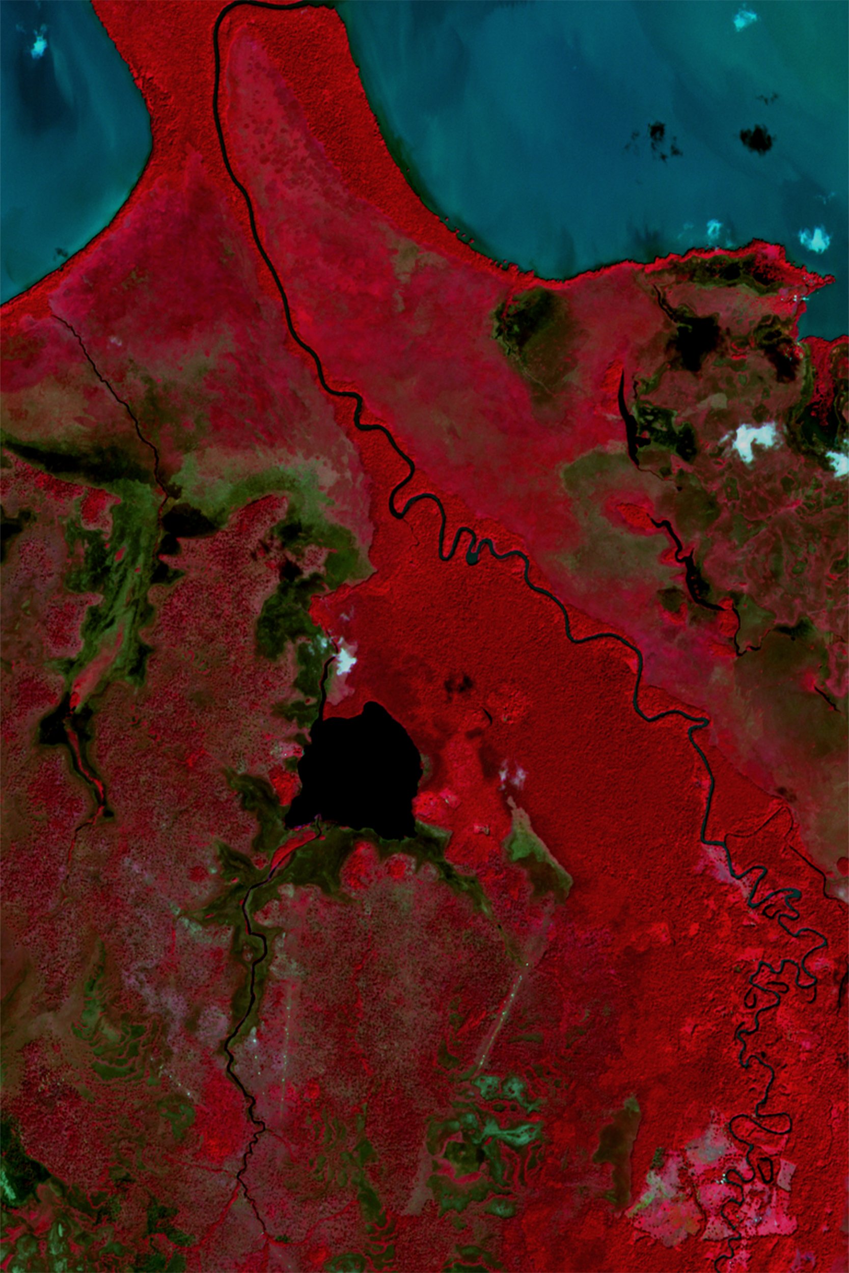  An infrared image elaborated from Sentinel 2 Satellite shows clandestine airstrips narcotraffickers use in the indigenous territory of the  Río Plátano Biosphere Reserve. Some of them were decommissioned by the Honduran military using explosives. 