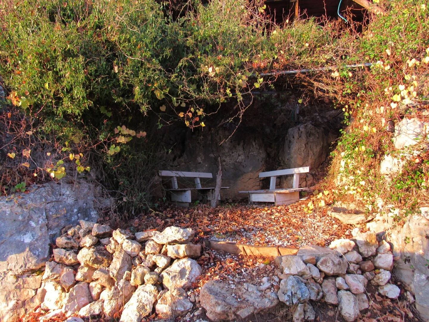 029_Male levona_Levi_Givat Harel.jpg