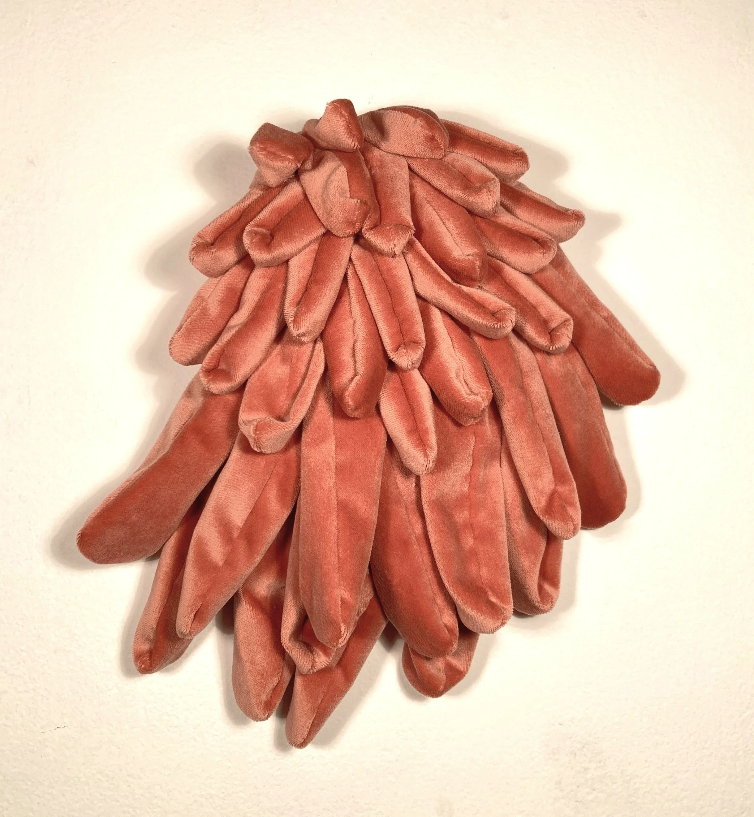   Peach Parrot    Velvet, wood   13”x11”   2022 