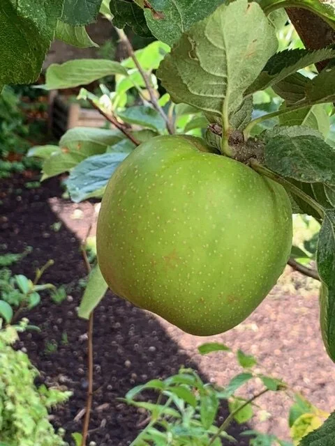 Fruits of Our Labour πβοΈπ