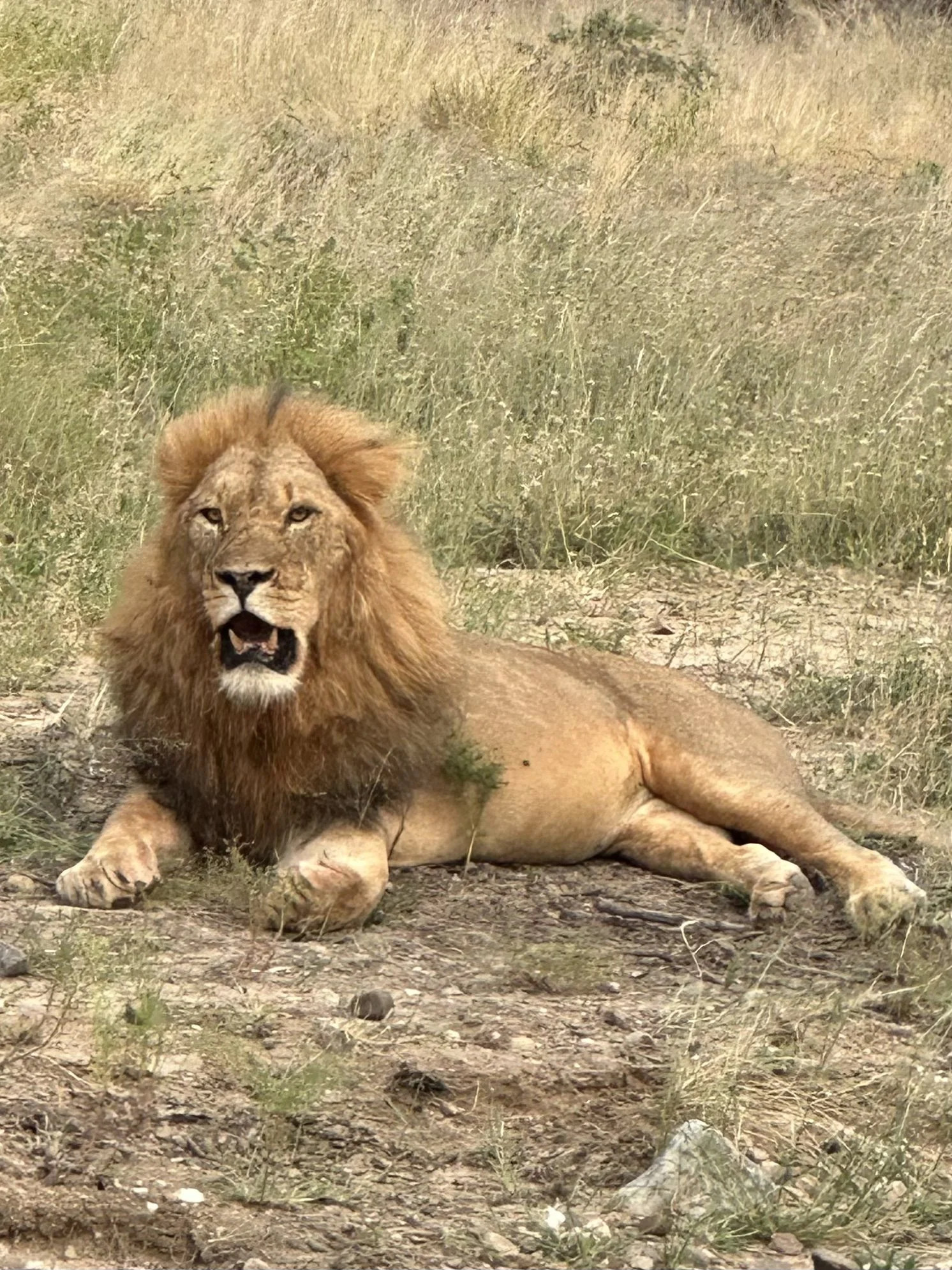 MY BEST 3 PHOTOS in 2023