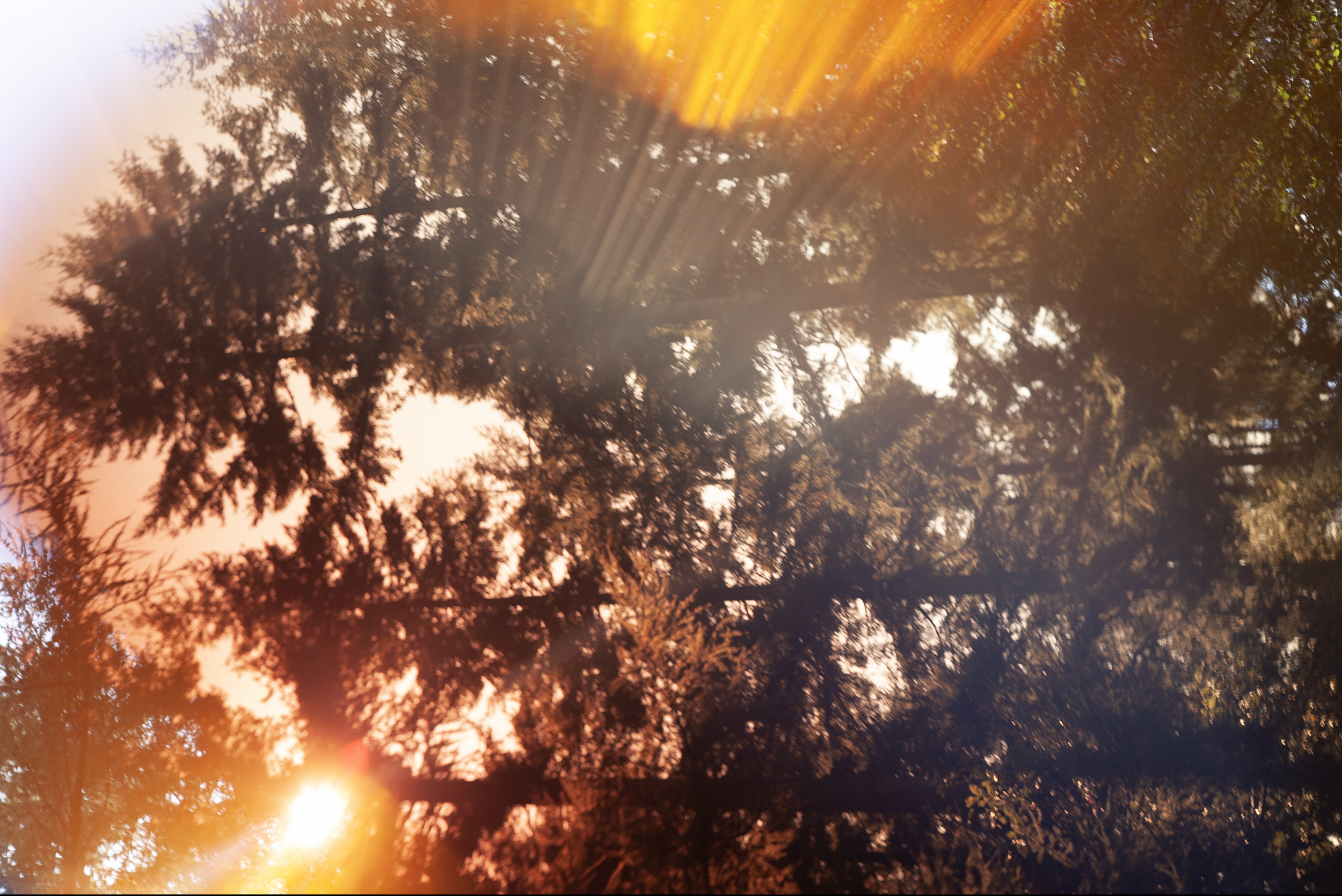 Screenshot 2023-09-14 at 10.24.49.png