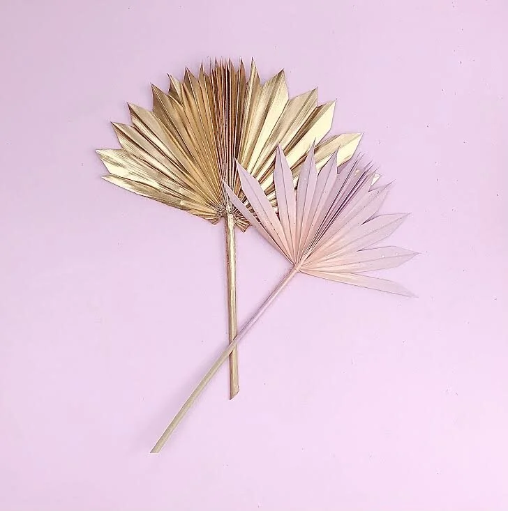 PALM EDIT 2 PIECE SUN PALM BUNDLE