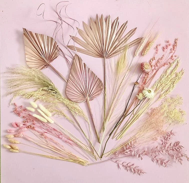 BORN TO SHINE BLOOMZ