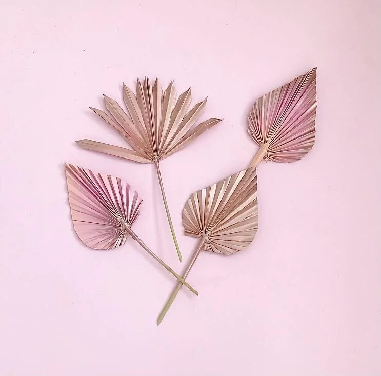 BORN TO SHINE 4 PIECE ROSE GOLD PALMS