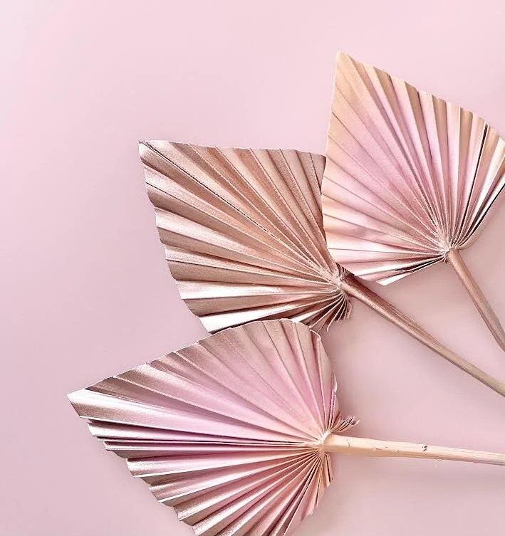 BORN TO SHINE SPEAR PALMS