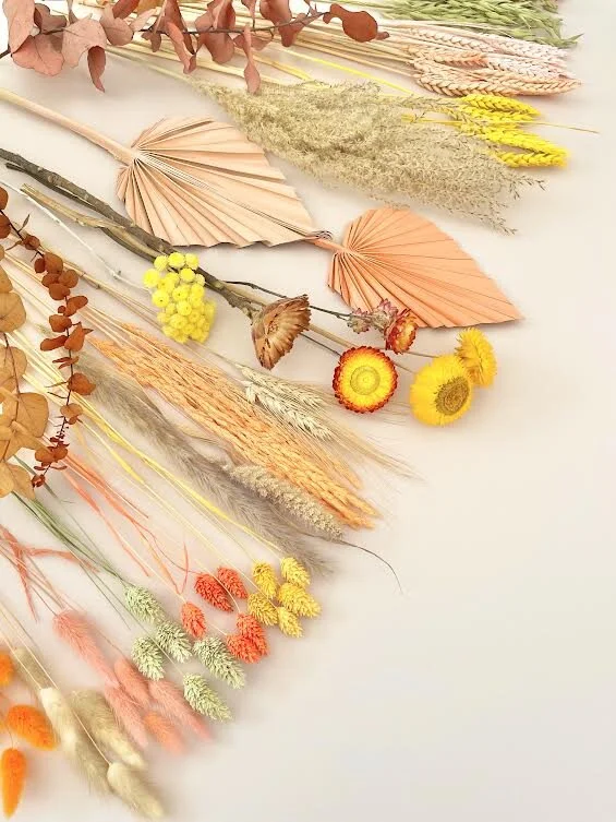 LARGE AUTUMN SUNSHINE BLOOMZ