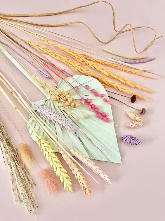 TROPICANA MINT SPEAR BLOOMZ