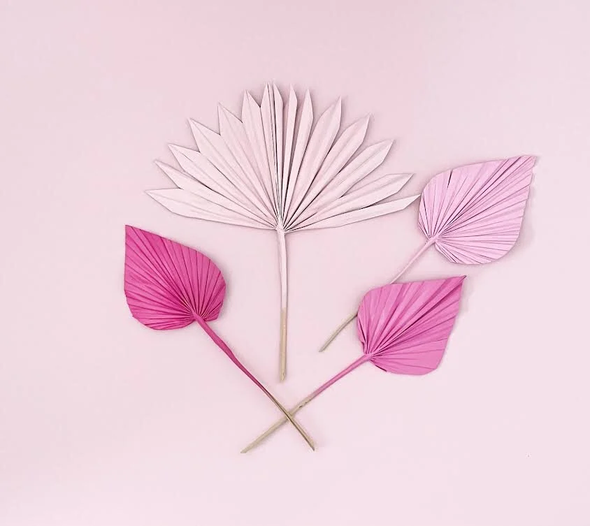 LOVESTRUCK SUN &amp; SPEAR PALMS