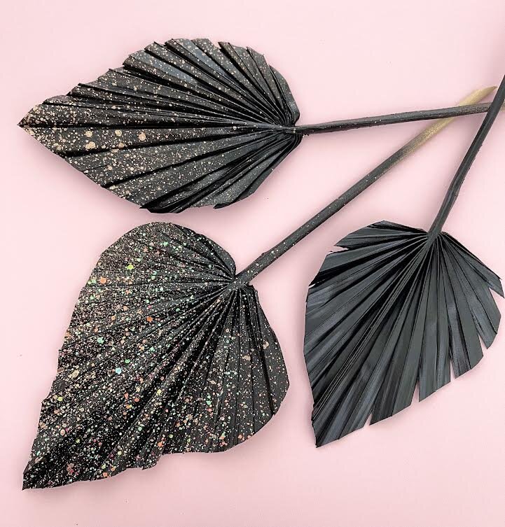 FIREWORK SPEAR PALMS