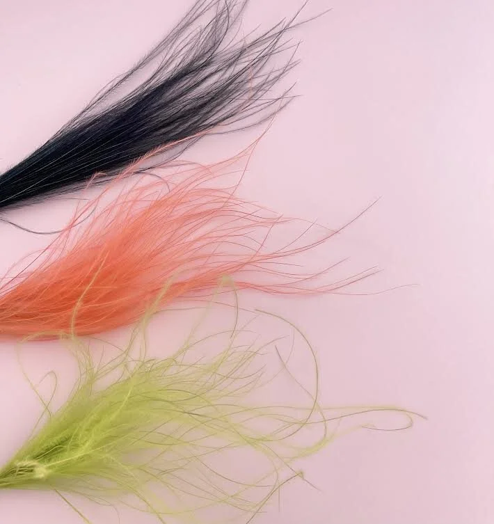 FIREWORK BLOOMZ EXTRAS